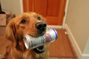 Coors Light Dog